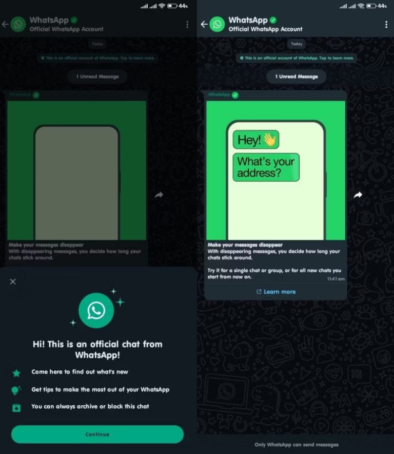 WhatsApp Improves User Experience with Official Chat Account 1 whatsapp official account